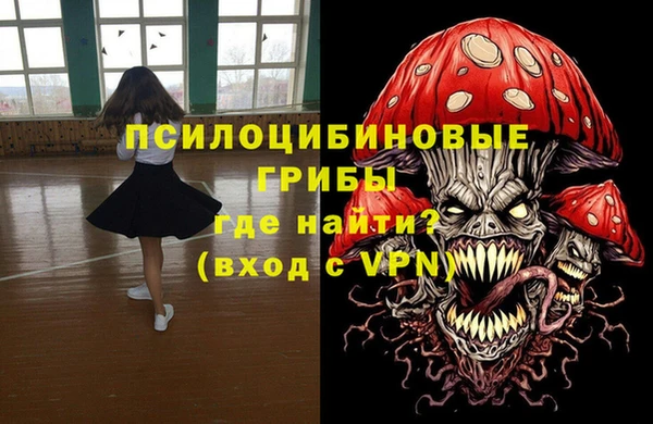 гидра Алексеевка