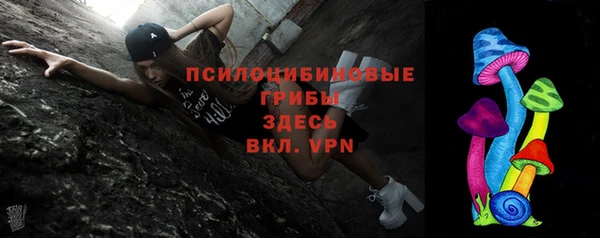гидра Алексеевка