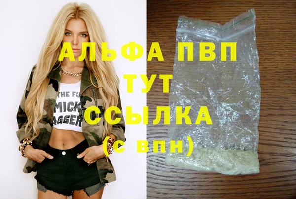 СК Зеленодольск