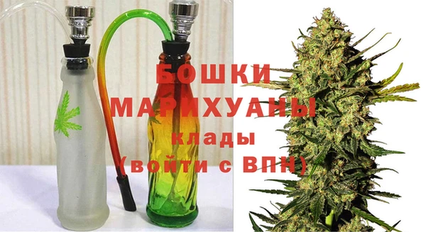 гидра Алексеевка